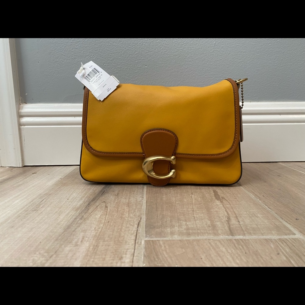 Soft tabby in buttercup